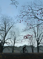 Fietser, ochtend, Prospect Park (digitale kunst)