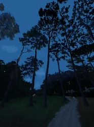 Hondenwandeling bij zonsondergang (digitale kunst)
