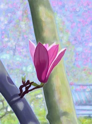 Magnolia Blossom (digitale kunst)