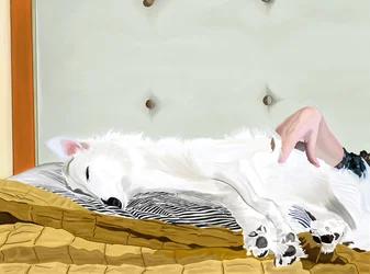 Penny op geel dekbed, Brooklyn (digitale kunst)