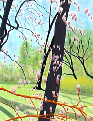 Tulpenboom