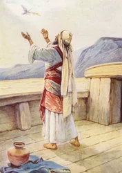 Noach en de terugkeer van de duif (kleurenlitho)