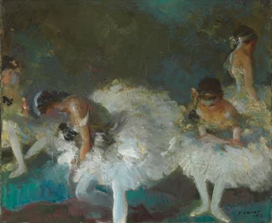 Dansers Achter de Schermen