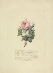 Rozen met de silhouetten van de Koninklijke familie, 1816