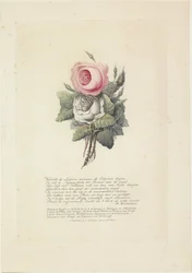 Rozen met silhouetportretten van Willem I Frederik, koning der Nederlanden, Wilhelmina van Pruisen, hun kinderen, zijn moeder en zijn zus