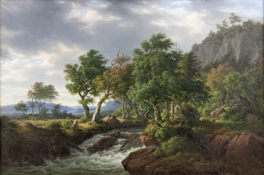 Rotslandschap. Djupadal in Blekinge