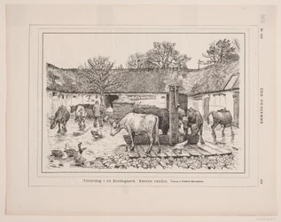 Winterdag op een Boerderij