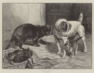 Een Gelukkige Familie