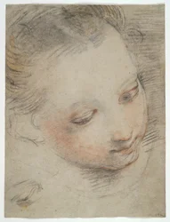 Hoofd van een meisje, studie voor een figuur in het altaarstuk Madonna del Popolo in de Uffizi