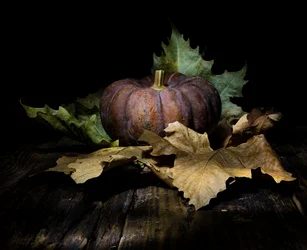 Donkere herfstpompoen
