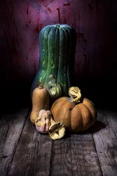 Stilleven ‘Dark Harvest’