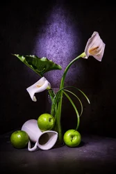Elegante calla