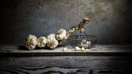 Rustiek stilleven met knoflook
