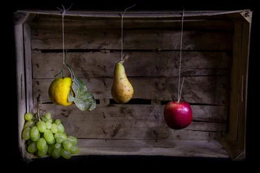 Rustiek hangend fruit