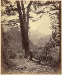 Uitzicht op de Hakone Pas