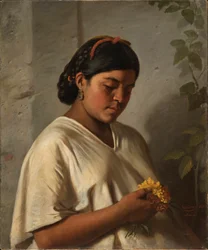 Indiase Vrouw met Goudsbloem