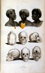 Antropologische illustratie van het Ethiopische ras