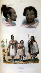 Antropologische illustratie van het Maori-ras