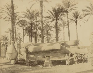 Kolossaal klassiek beeld in Memphis (Senwosret III)