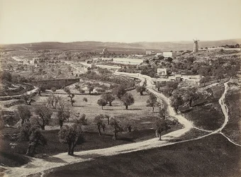 Valleilandschap met een windmolen en olijfboomgaarden