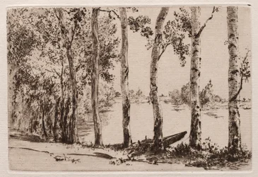 Aspens aan de oever van de Seine