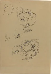 Kuikens