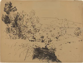 Kustlandschap