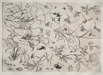 Dinerservies (Rousseau servies): Bloemen en insecten (nr. 15)