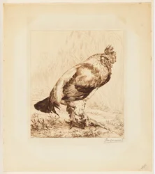 Le Vieux Coq (De Oude Haan)