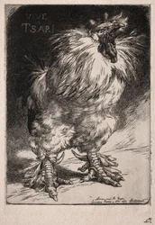 De Franse haan