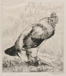 De Oude Haan, 1882