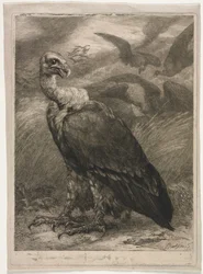 Gier, 1904