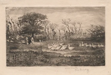 Ganzen, 1887