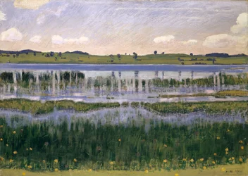 Meer Burgäschi