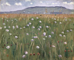 Weidelandschap, ca. 1901
