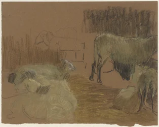Schapen in een stal