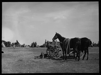 Paard naast kar in Semere