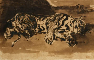 Tijger Liggend, 1858