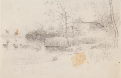 Landschap met eenden