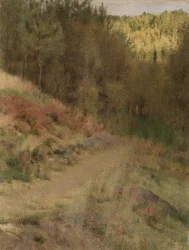 Landschap in Fosset