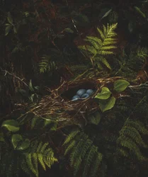 Vogelnest en Varens, 1863