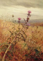 Distel in een Veld, 1875
