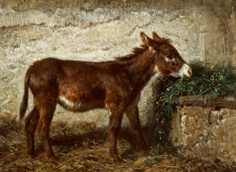 Ezel bij de kribbe