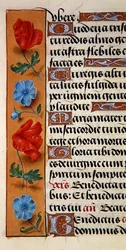Detail van een bloemenrand uit een Getijdenboek, ca. 1500