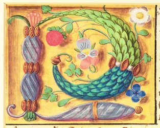 Verlichte letter `P versierd met bloemen, uit een Getijdenboek, ca. 1500