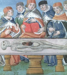Dissectie, uit De Medina Fen I. II, door Avicenna (980-1037)