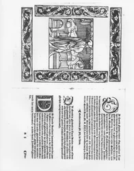Ziekenbed met een pokkenpatiënt, illustratie uit een medisch verhandeling door Paracelsus (1493-1541) gepubliceerd in 1553