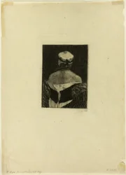 Het model