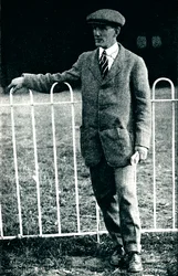 Overlevende van een verschrikkelijk ongeluk: Mr Sydney Pickles, de Caudron-expert, 1913 1934