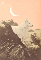 Reusachtige Wolf in Roze Bergen, 2021 (collage)